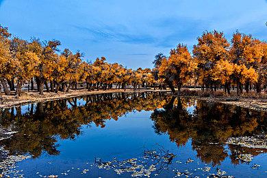 《龙珠Z 卡卡洛特+新觉醒篇》新宣传片 9月22日登陆NS